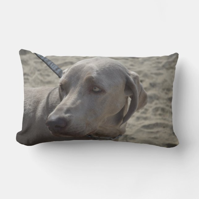 Almofada Lombar Weimaraner doce (Frente)