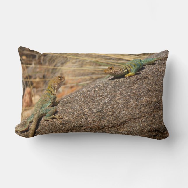Almofada Lombar Western Collared Lizards no Colorado (Frente)