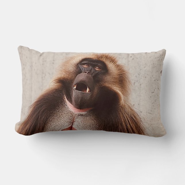 Almofada Lombar What’s going on (Frente)