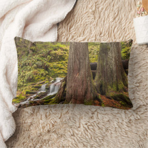 Almofada Lombar White Branch Falls, Oregon Cascades, Oregon