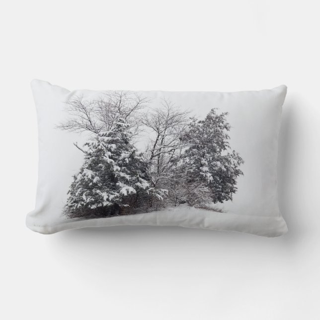 Almofada Lombar Winter Oasis (Frente)