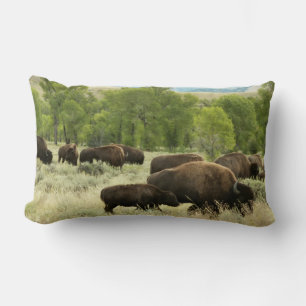 Almofada Lombar Wyoming Bison Nature