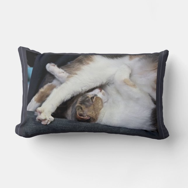 Almofada Lombar Yoga "Eu não sou tão limpador quanto costumava ser (Frente)