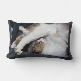 Almofada Lombar Yoga "Eu não sou tão limpador quanto costumava ser