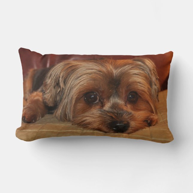 Almofada Lombar Yorkshire Terrier Lumbar Travesseiro (Frente)