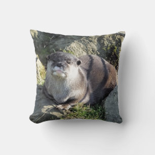 ALMOFADA LONTRA BONITO