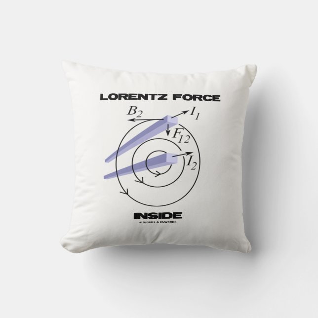 Almofada Lorentz Force Dentro Eletromagnetismo Humor (Frente)