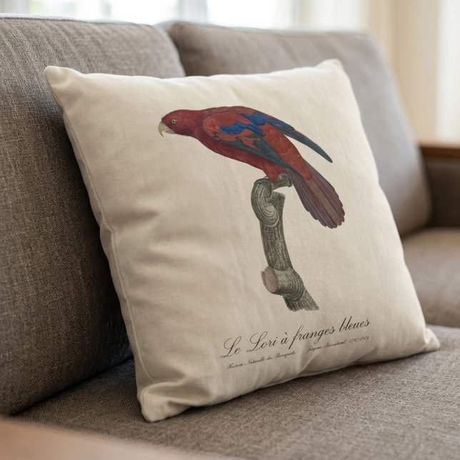 Almofada Lório-de-cauda-vermelha, Trichoglossus borneus (Long-Tailed Red Lory, Trichoglossus borneus. Throw Pillow)