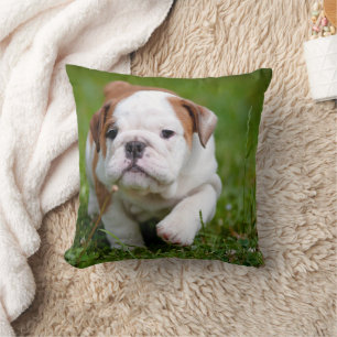 Almofada Lovldog Puppy Travesseiro