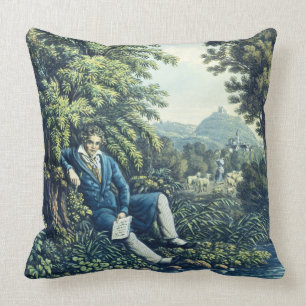 Almofada Ludwig van Beethoven por um rio (engravin colorido