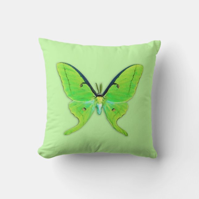 Almofada Luna moth com um fundo verde pálido (Frente)