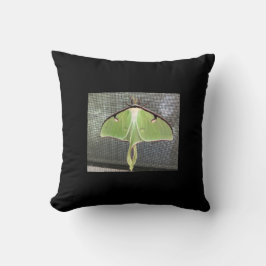 Almofada Lunar Moth