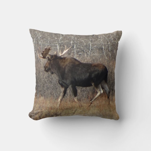 Almofada M8 Bull Moose (Frente)