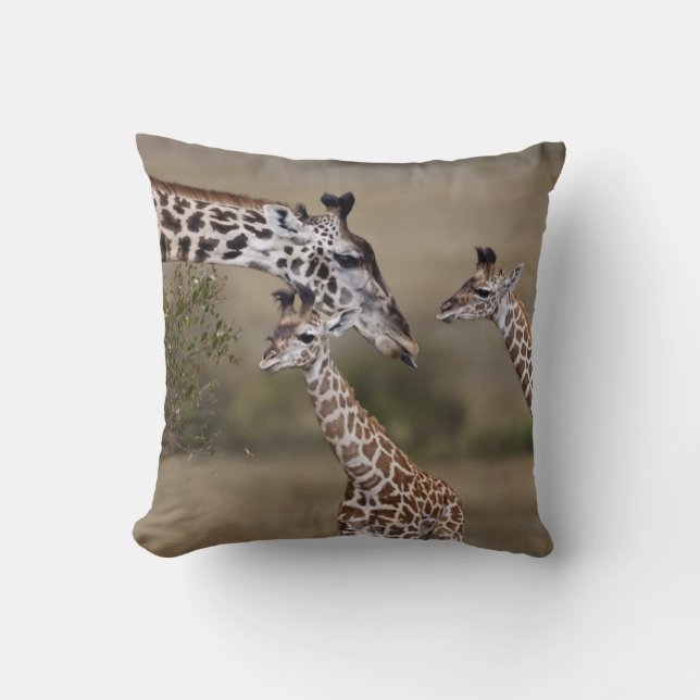 Almofada Maasai Giraffe (Giraffe Tippelskirchi) (Frente)