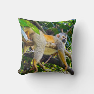 Almofada Macaco-esquilo num ramo - Costa Rica