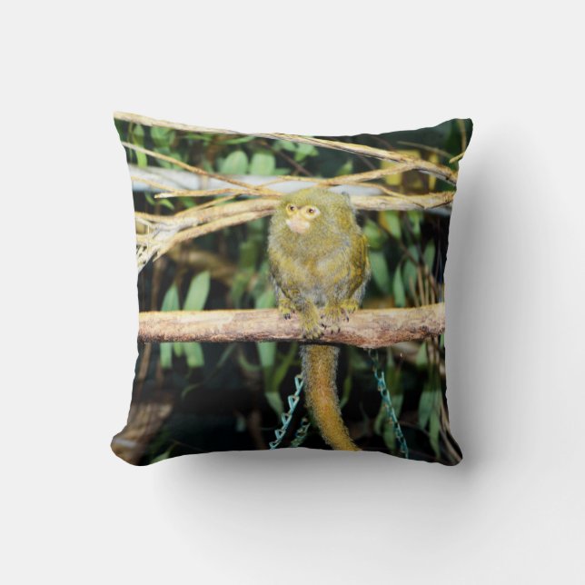 Almofada Macaco Marmoset Sentado Em Ramificação, Cushion (Frente)