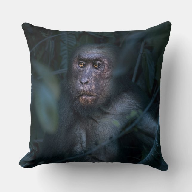 Almofada Macaco na selva (Frente)