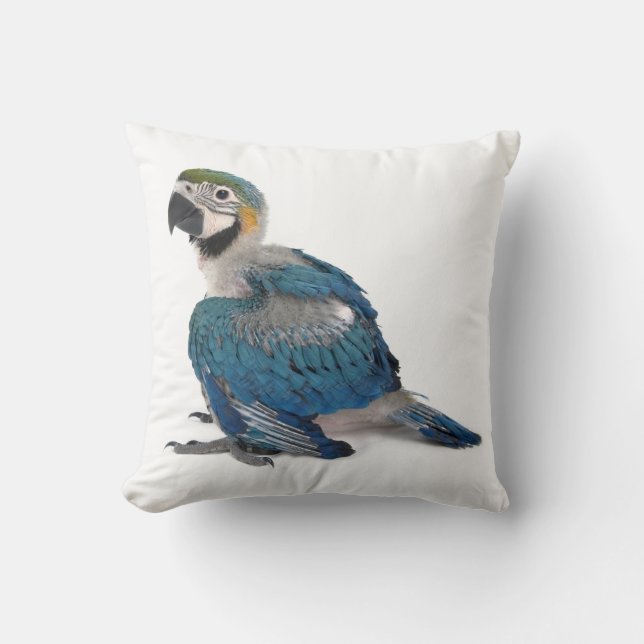 Almofada Macaw azul e amarelo (Frente)