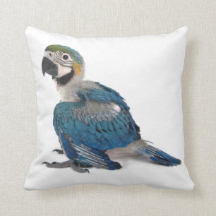 Almofada Macaw azul e amarelo