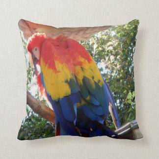 Almofada Macaw da foto #16-Scarlet do pássaro