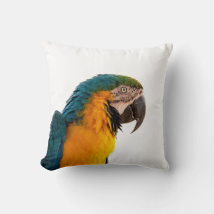 Almofada Macaw de papagaio