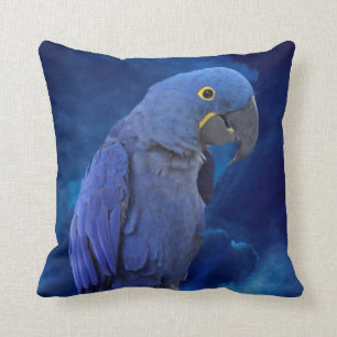 Almofada Macaw do jacinto