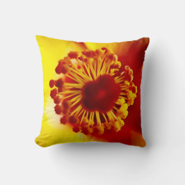 Almofada Mãe do arrasto