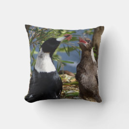 Almofada Magpie adulto com juvenil