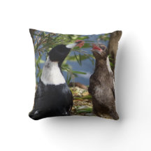 Magpie adulto com juvenil