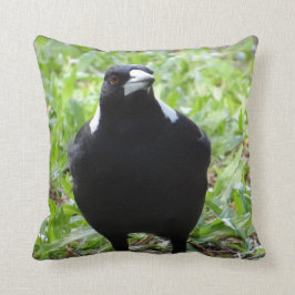 Almofada Magpie australiano