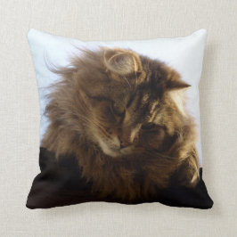 Almofada Maine Coon Tabby