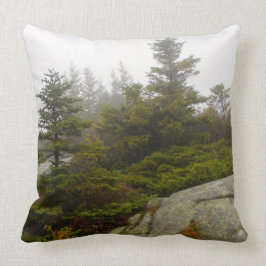 Almofada Maine Pine Boulders Acadia Foto
