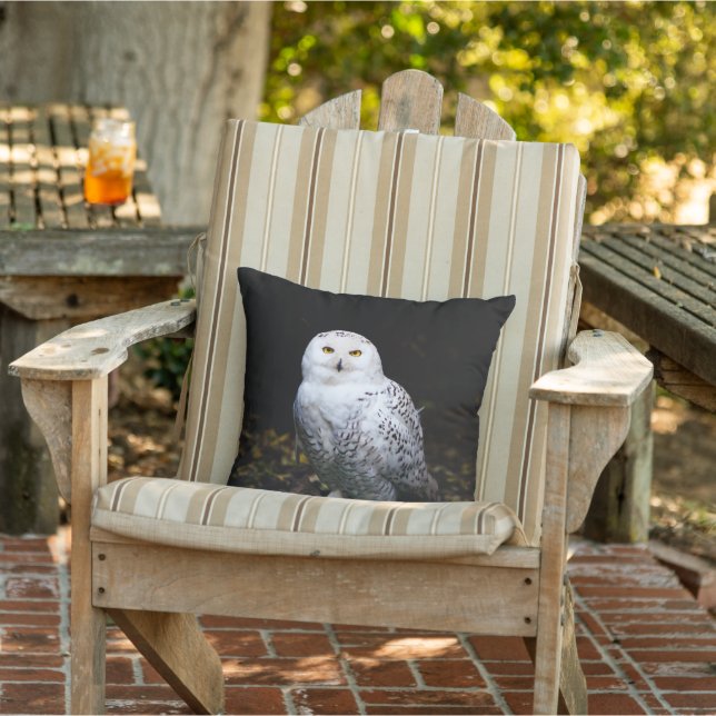 Almofada Majestic winter snowy owl (Cadeira)