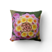 Makro: Flor Lantana, rosa e amarela