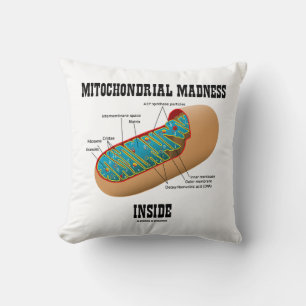 Almofada Mal mitocondrial Dentro Mitocondrion Biologia