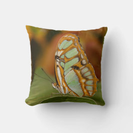 Almofada Malaquita numa folha