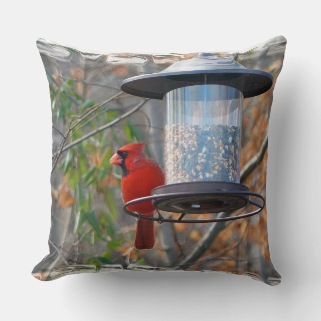 Almofada Male Cardinal (Frente)