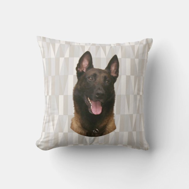 Almofada malinois belgas (Frente)