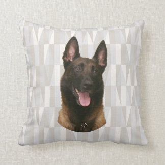 Almofada malinois belgas