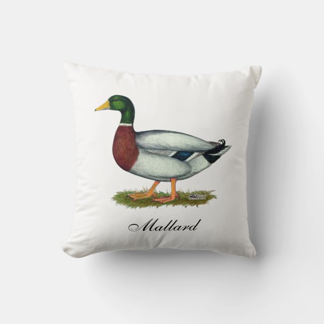 Almofada Mallard Duck Drake (Frente)