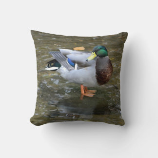 Almofada Mallard Duck (Homem) em Creek Travesseiro