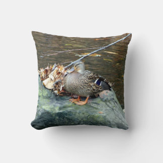 Almofada Mallard Duck (Mulher) no Travesseiro Mossy Rock