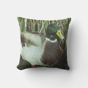 Almofada Mallard Duck Photo Male Lake Willife Bird