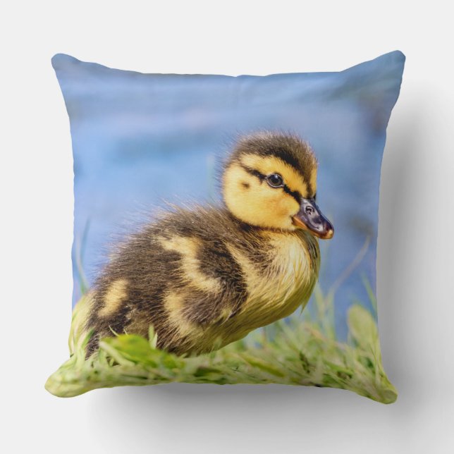Almofada Mallard Duckling (Frente)