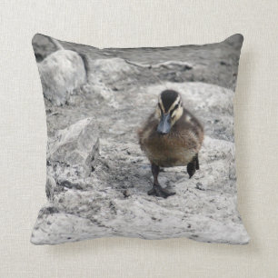 Almofada Mallard Duckling Photo