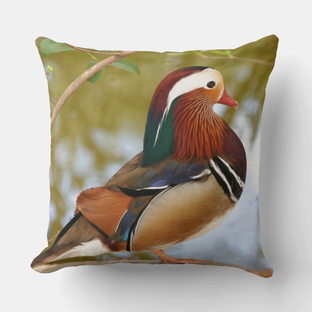 Almofada Mandarin Duck (Frente)