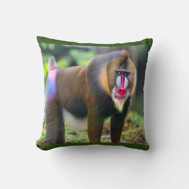 Almofada Mandrill Baboon (Mandrill known for their striking red, blue and purple facial markings.)
