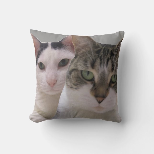 Almofada Mantenha seus amigos próximos e inimigos próximos (Frente)