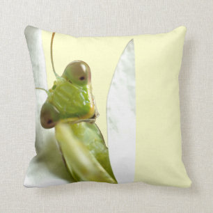 Almofada Mantid