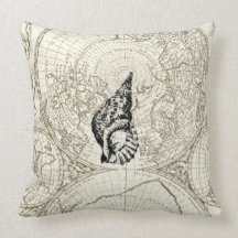 Mapa do marfim e ilustração Sealife do SeaShell